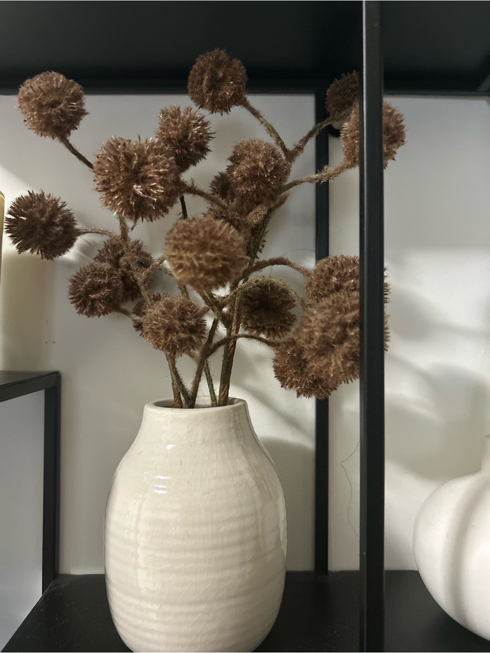 Neutral Brown Pom-Pom Stems in Cream Ceramic Vase - Home Accents